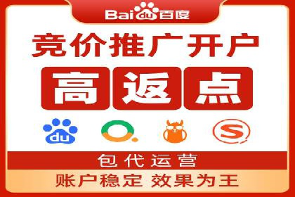 某品牌SEM广告投放的ROI提升案例